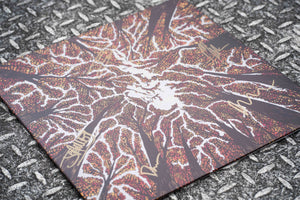 Crown Shyness - Vinyl - Cloudy Green - Hand Signed